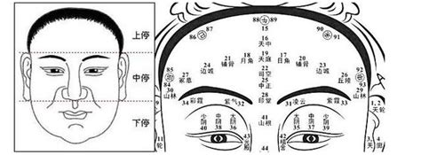 4個數字 前額突出 面相